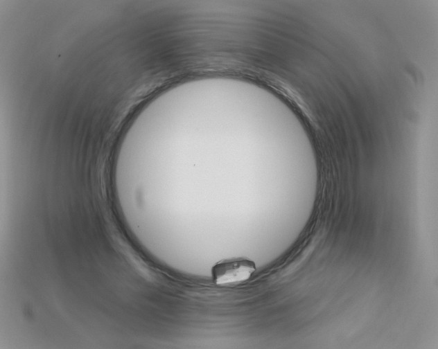 X0000115220589200911121926