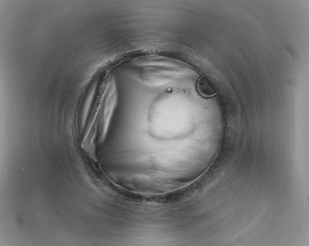 X0000115220592200911121926