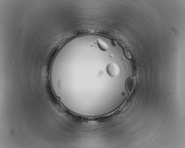 X0000115220594200911121926