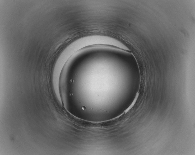X0000115220595200911121926