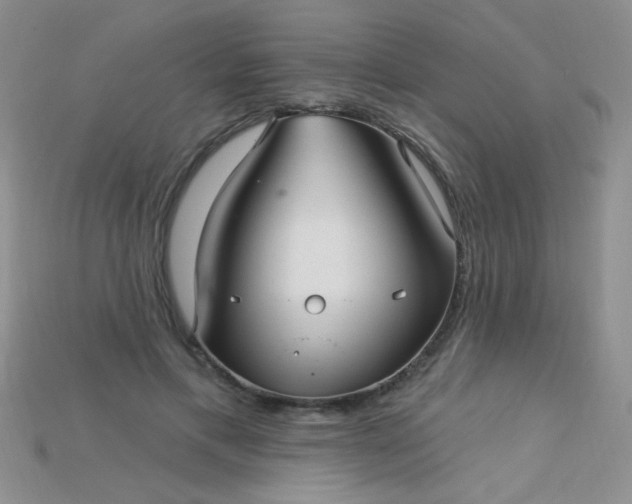 X0000115220597200911121926