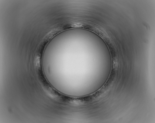X0000115220598200911121926