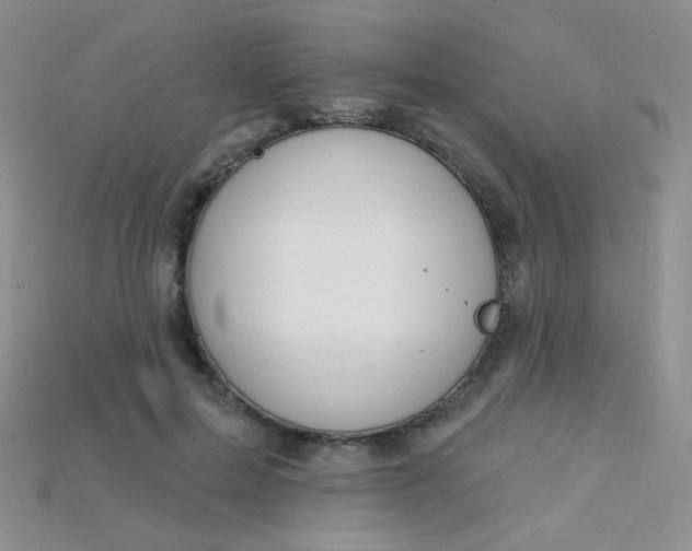X0000115220599200911121926