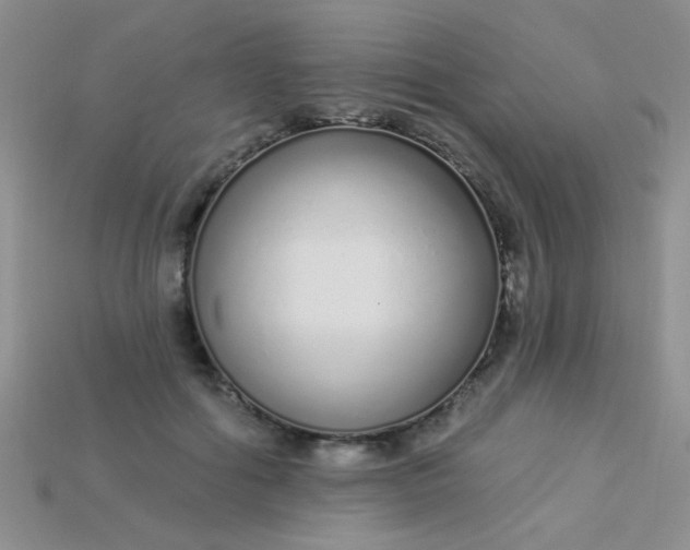 X0000115220602200911121926