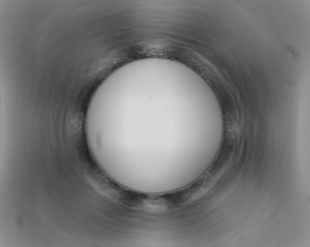 X0000115220603200911121926
