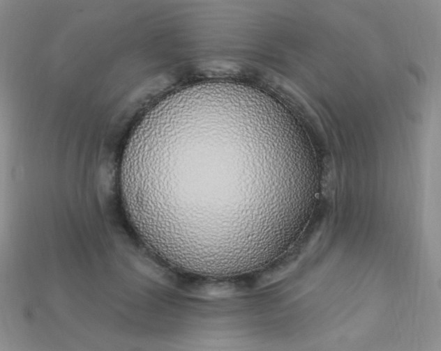 X0000115220604200911121926