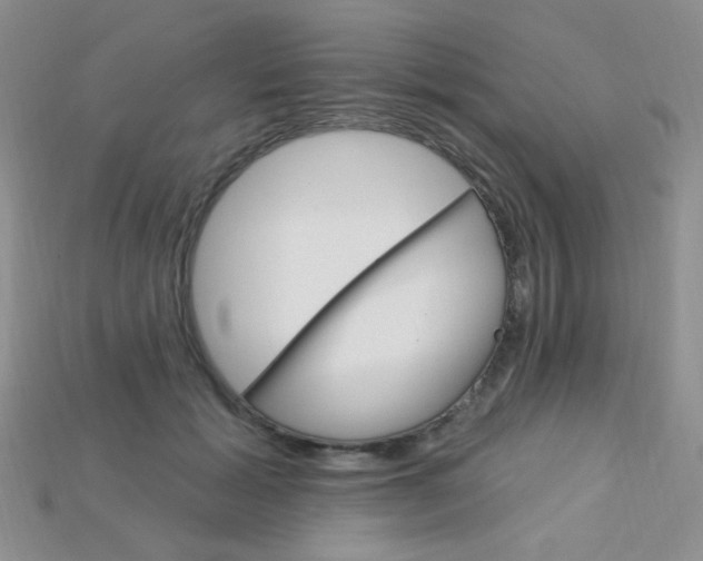 X0000115220605200911121926