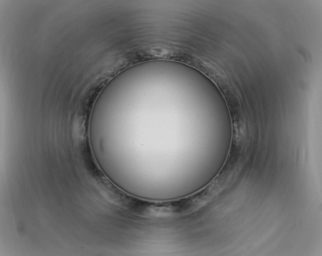 X0000115220606200911121926