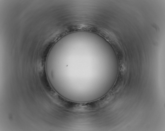 X0000115220607200911121926