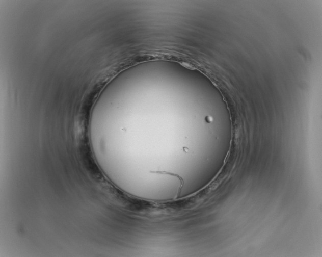 X0000115220608200911121926