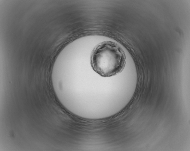 X0000115220609200911121926