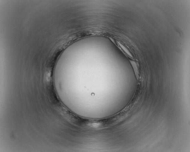 X0000115220610200911121926