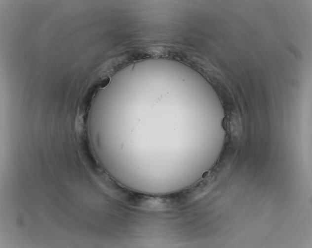 X0000115220611200911121926