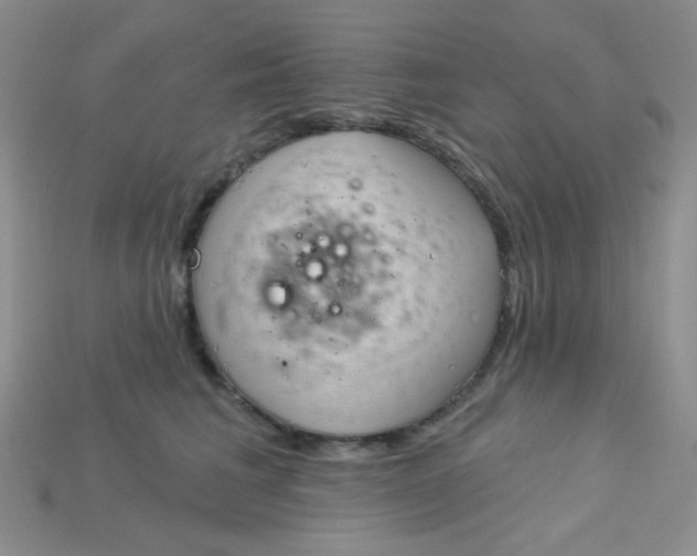 X0000115220613200911121926
