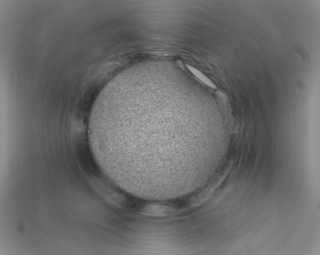 X0000115220614200911121926