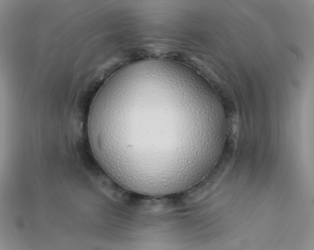 X0000115220615200911121926