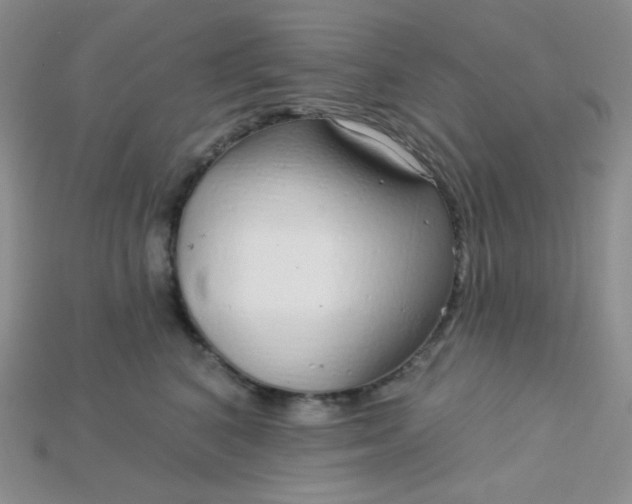 X0000115220616200911121926