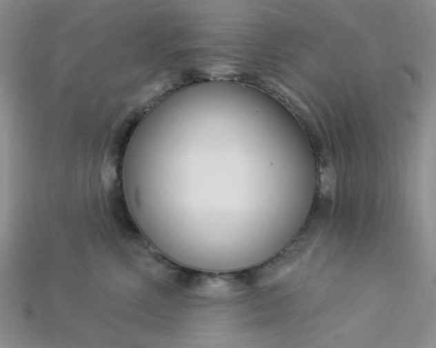 X0000115220618200911121926