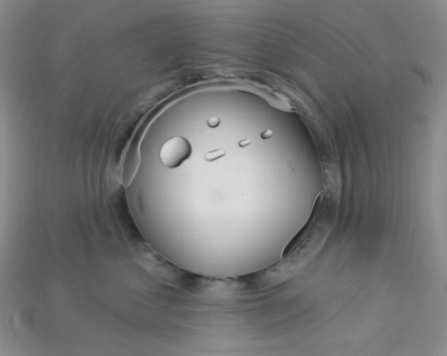 X0000115220621200911121926