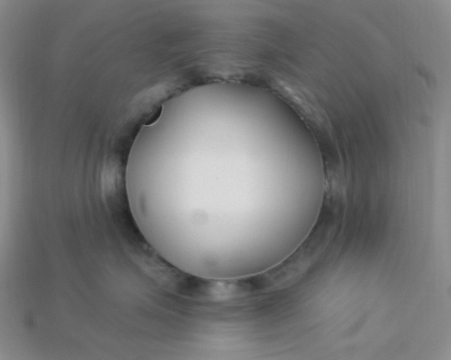 X0000115220623200911121926
