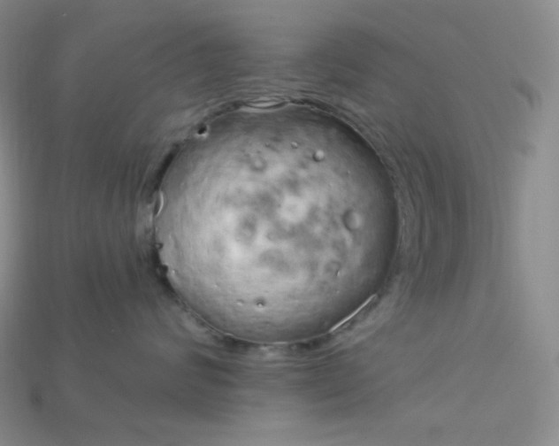 X0000115220624200911121926