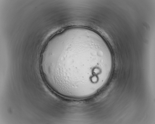 X0000115220625200911121925
