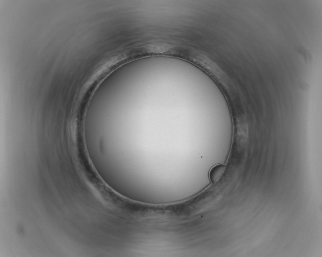 X0000115220626200911121925