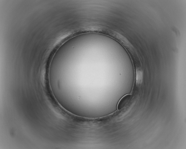 X0000115220627200911121925