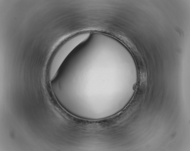 X0000115220628200911121925