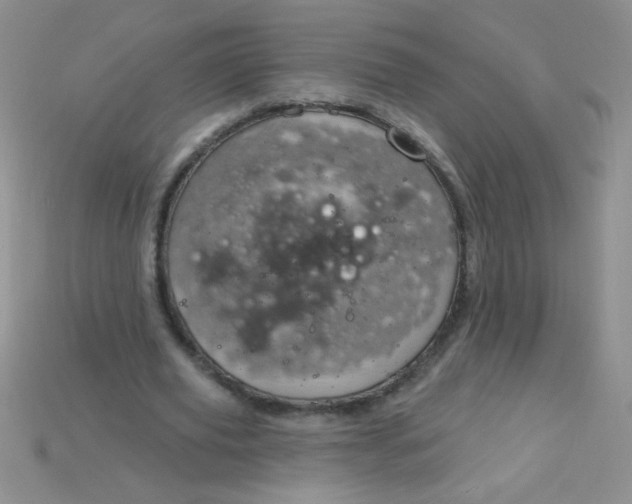 X0000115220629200911121925
