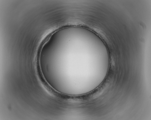 X0000115220630200911121925