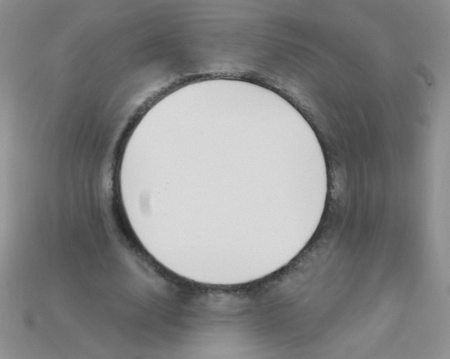 X0000115220632200911121925