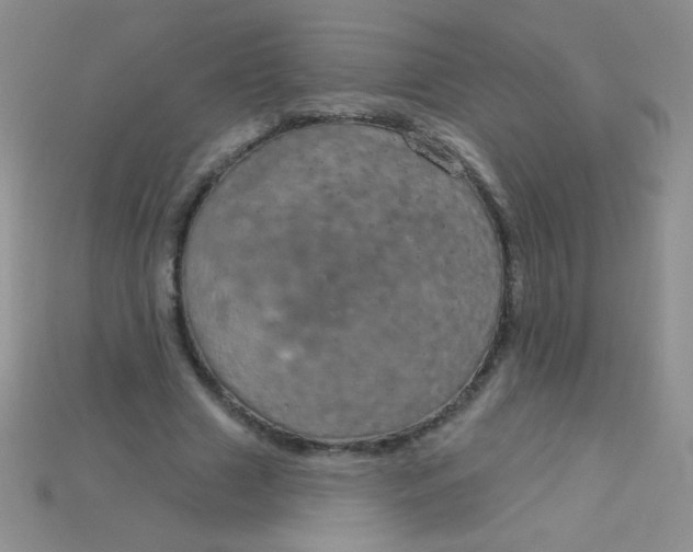 X0000115220633200911121925