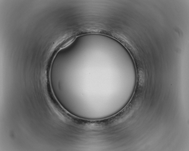 X0000115220634200911121925