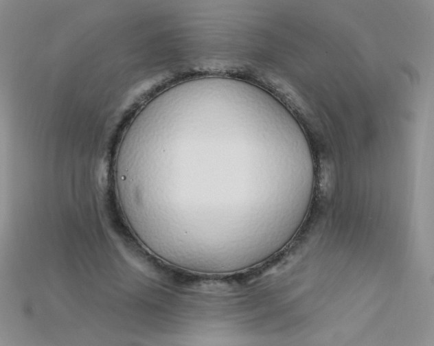 X0000115220636200911121925