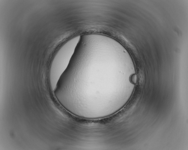 X0000115220637200911121925