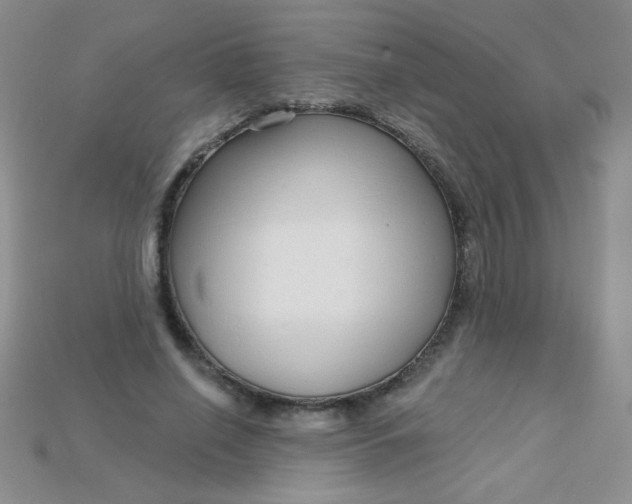 X0000115220638200911121925