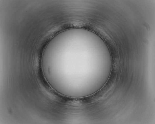 X0000115220639200911121925