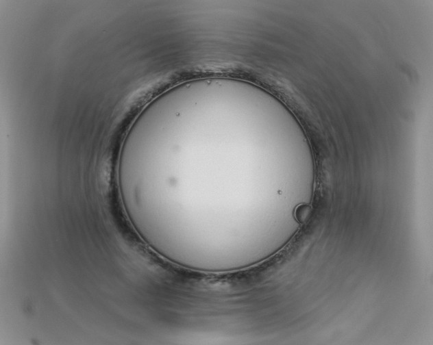 X0000115220640200911121925