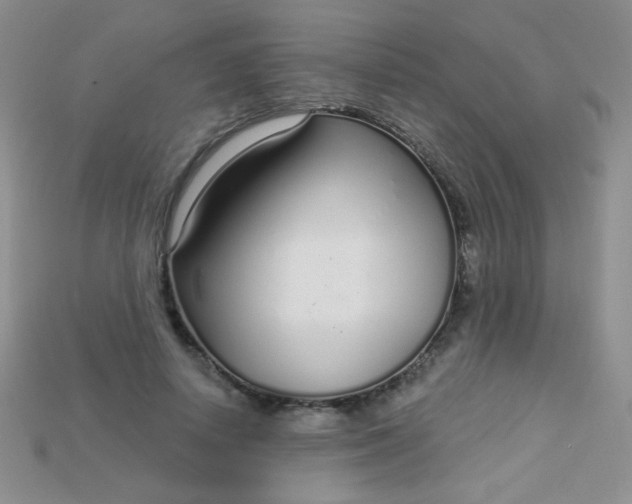 X0000115220642200911121925