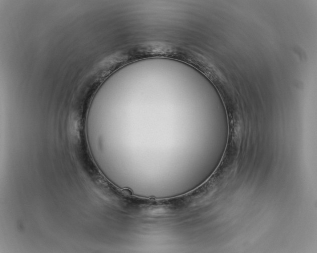 X0000115220643200911121925