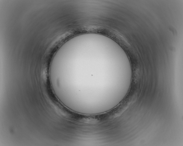 X0000115220644200911121925