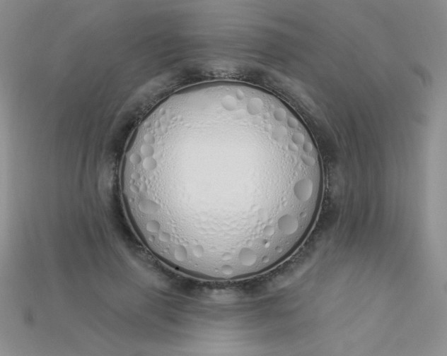 X0000115220645200911121925