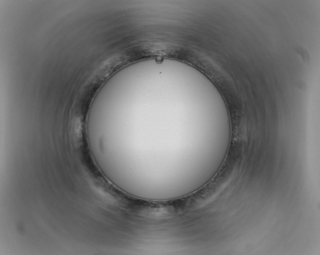 X0000115220646200911121925