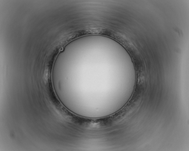 X0000115220647200911121925