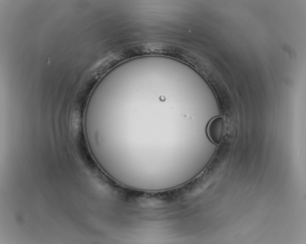 X0000115220648200911121925