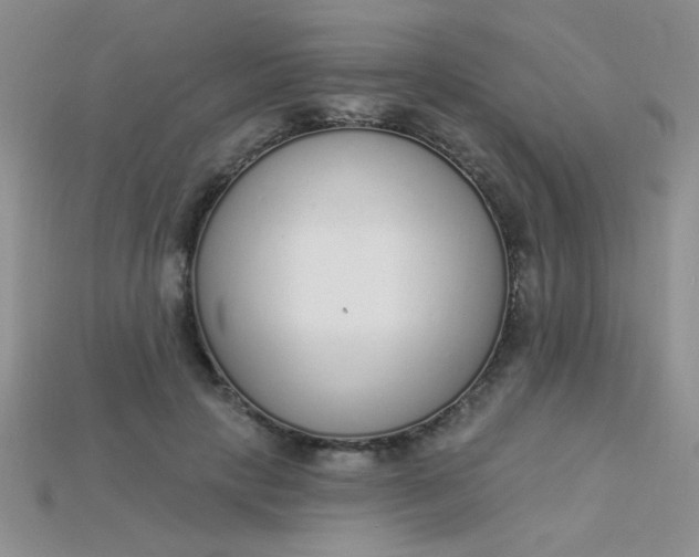 X0000115220649200911121925