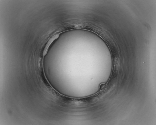 X0000115220650200911121925