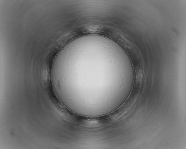 X0000115220651200911121925