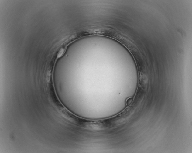 X0000115220652200911121925